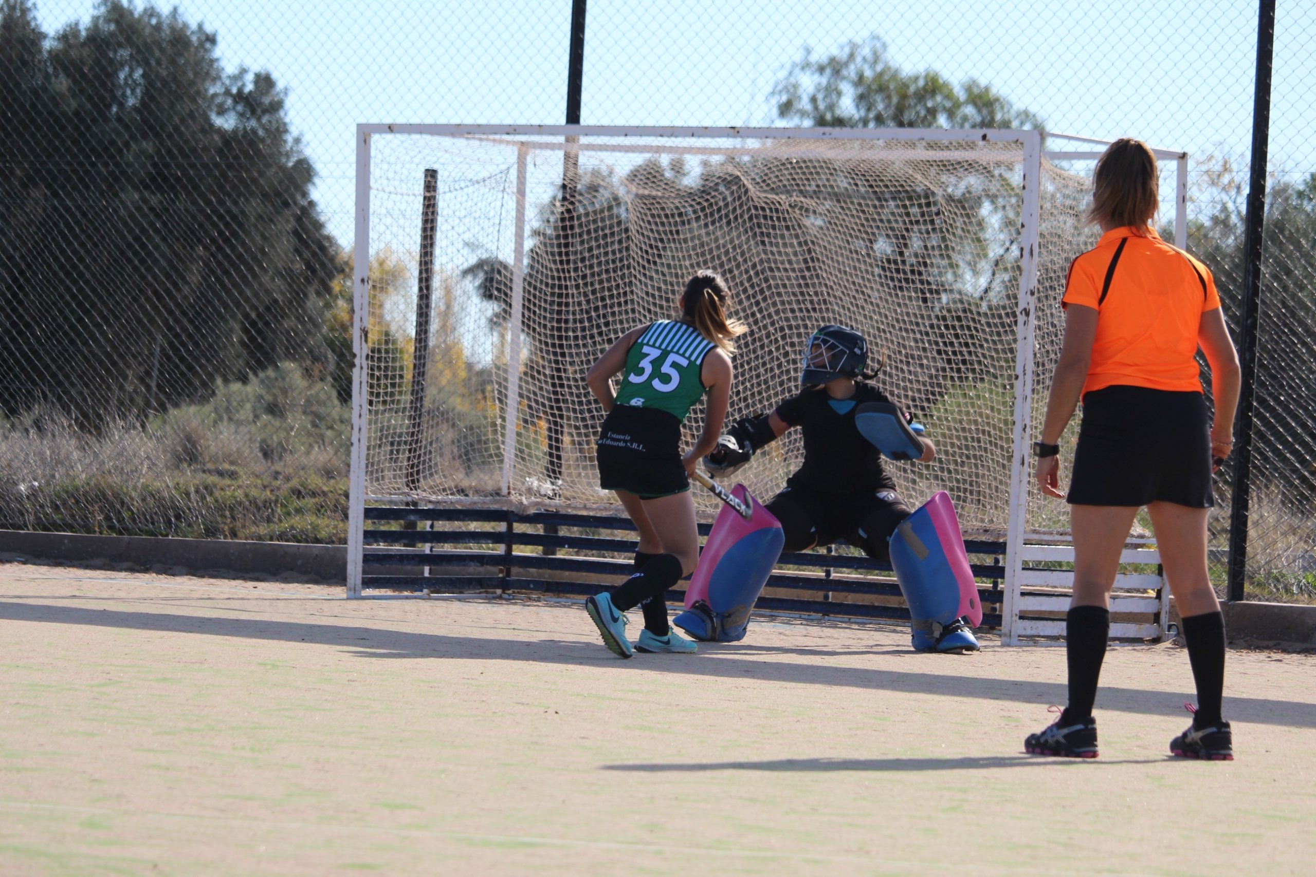 Hockey sobre césped