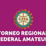 Regional Amateur: sistema de juego