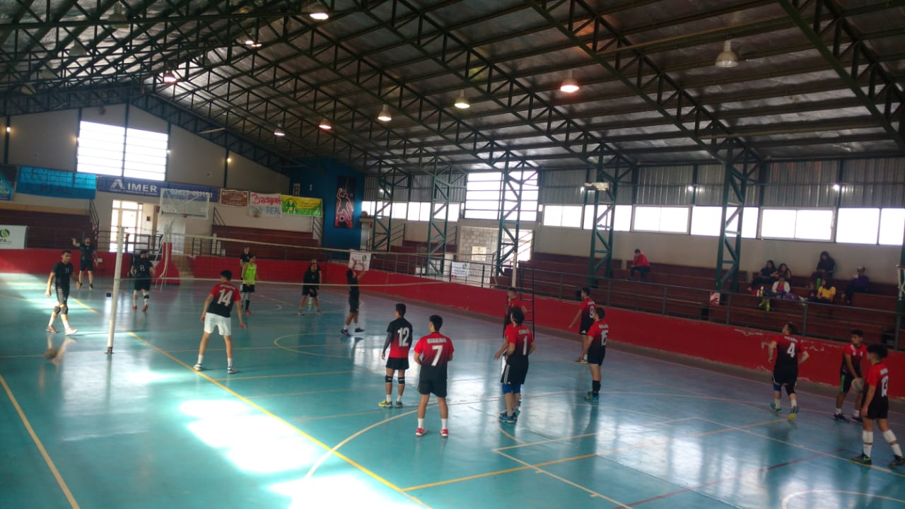 Voley
