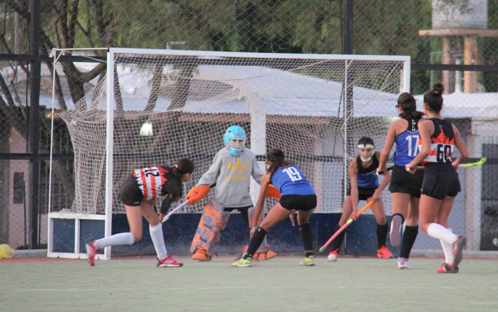 Hockey sobre césped