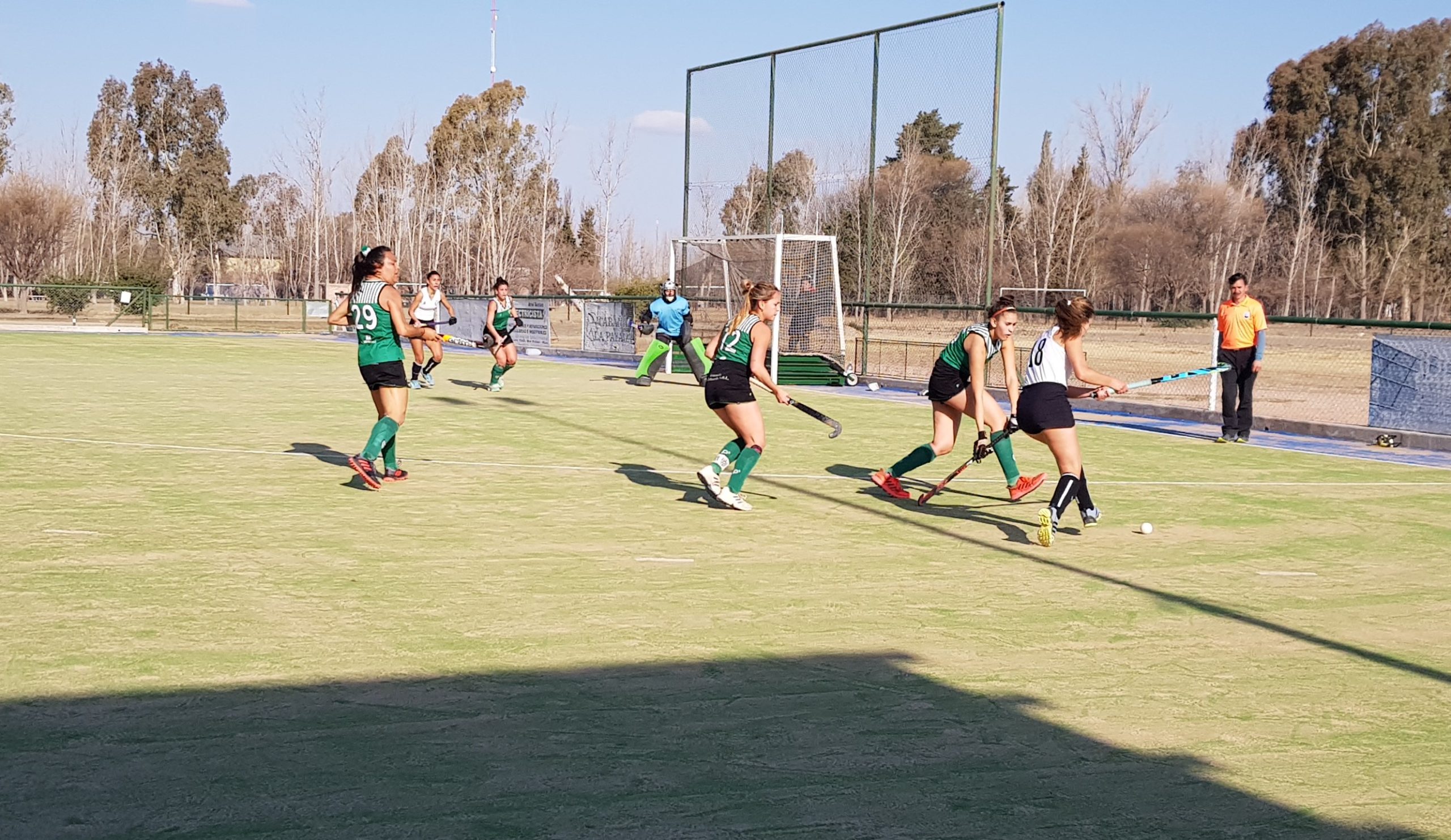 Hockey sobre césped