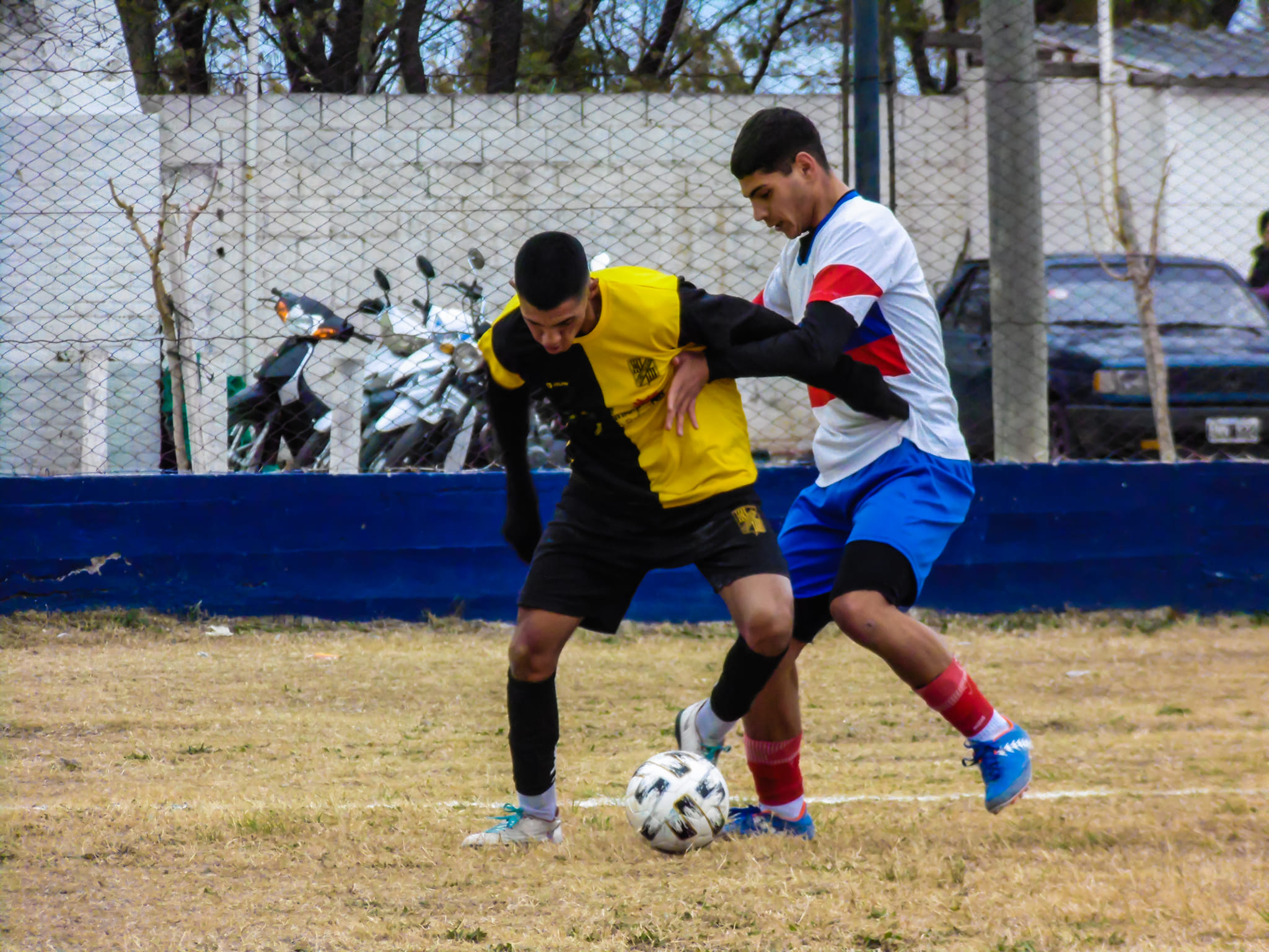 Fútbol