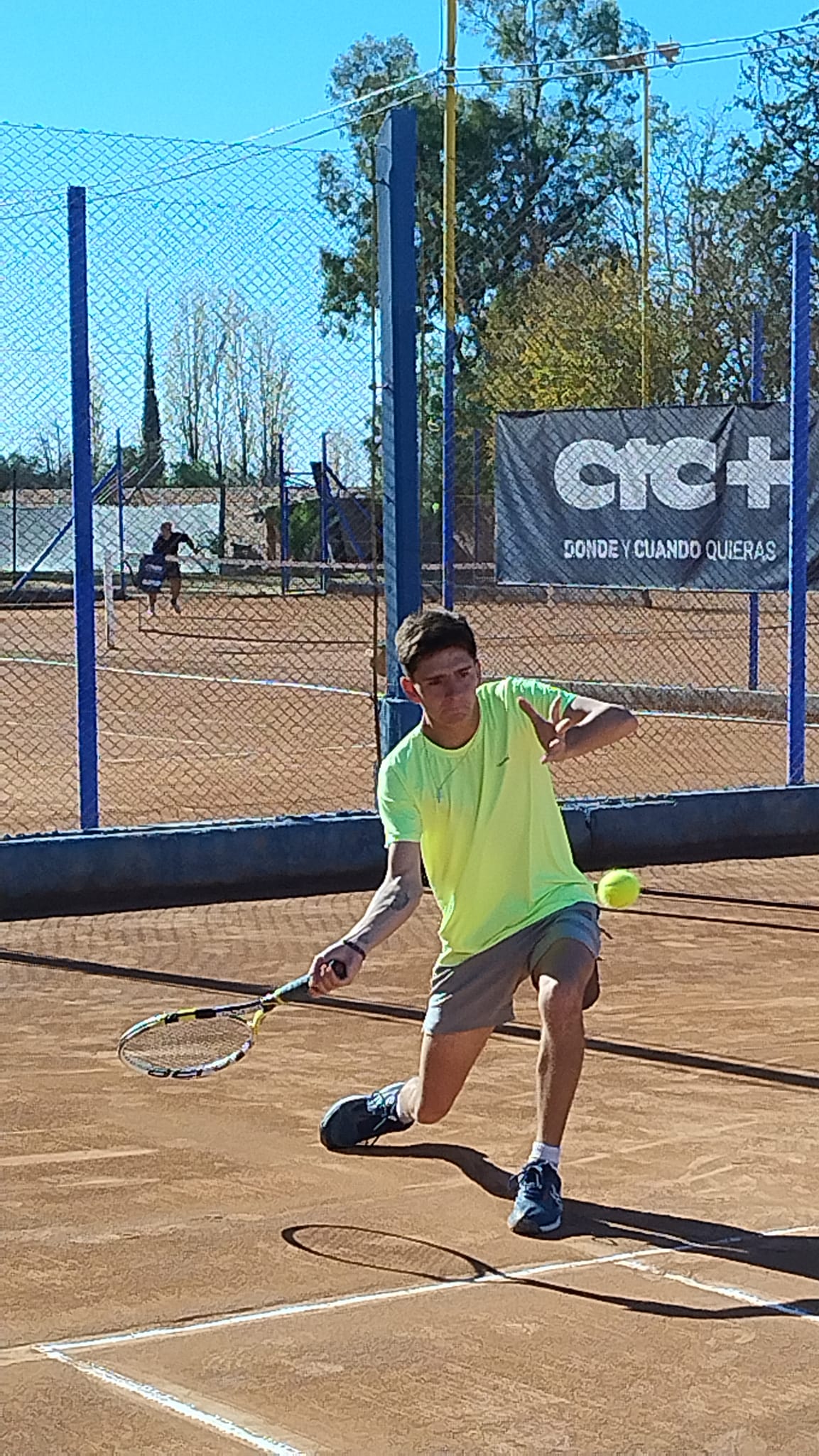 tenis