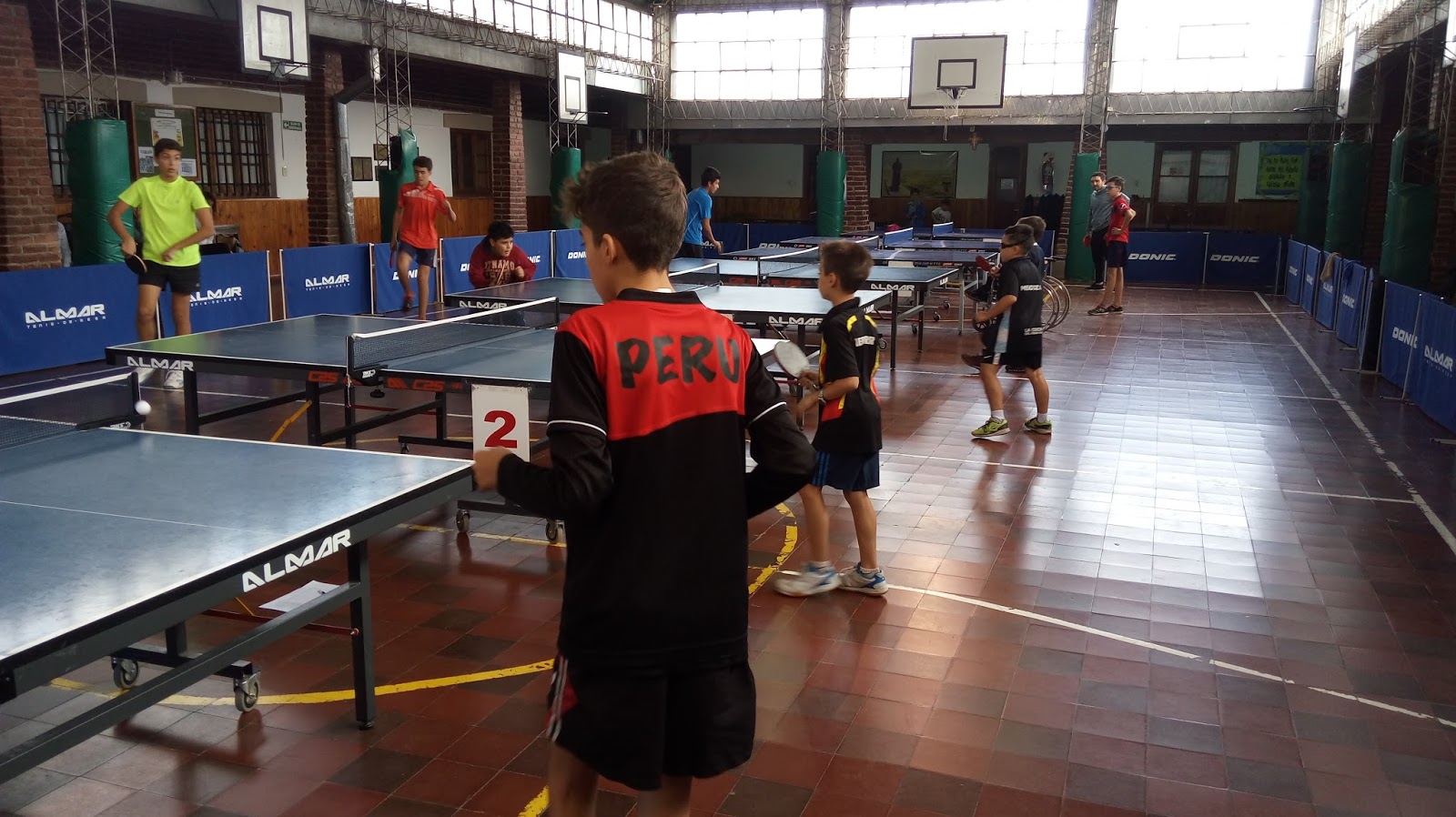 Tenis de Mesa