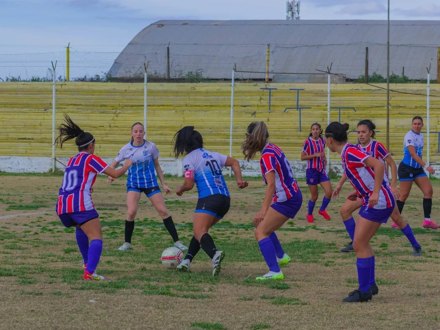 Los números del Torneo Apertura femenino