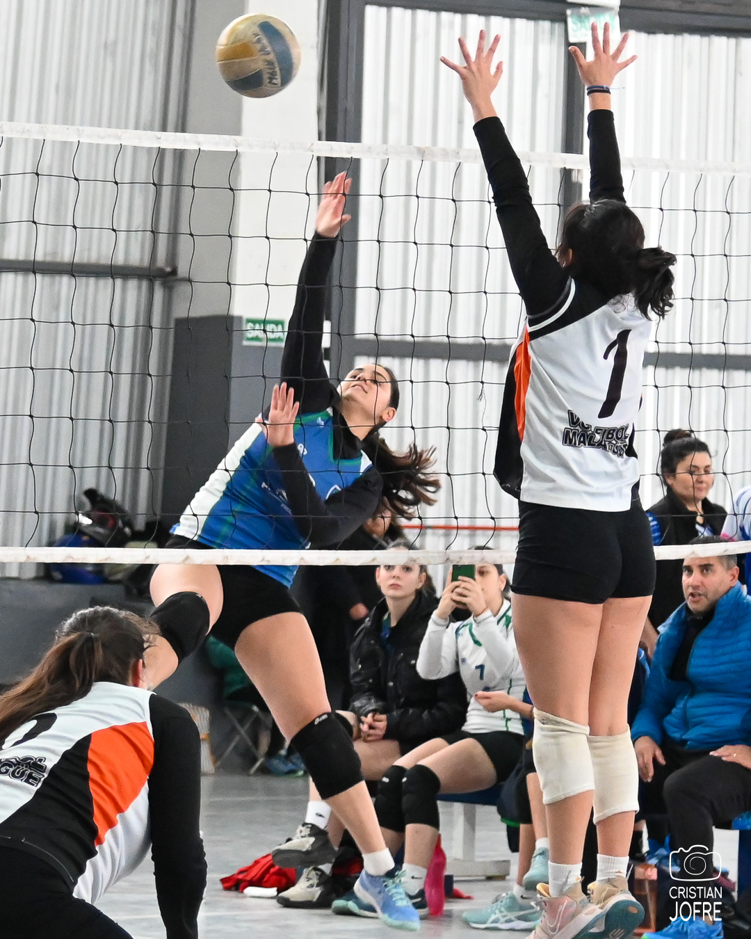 Voley