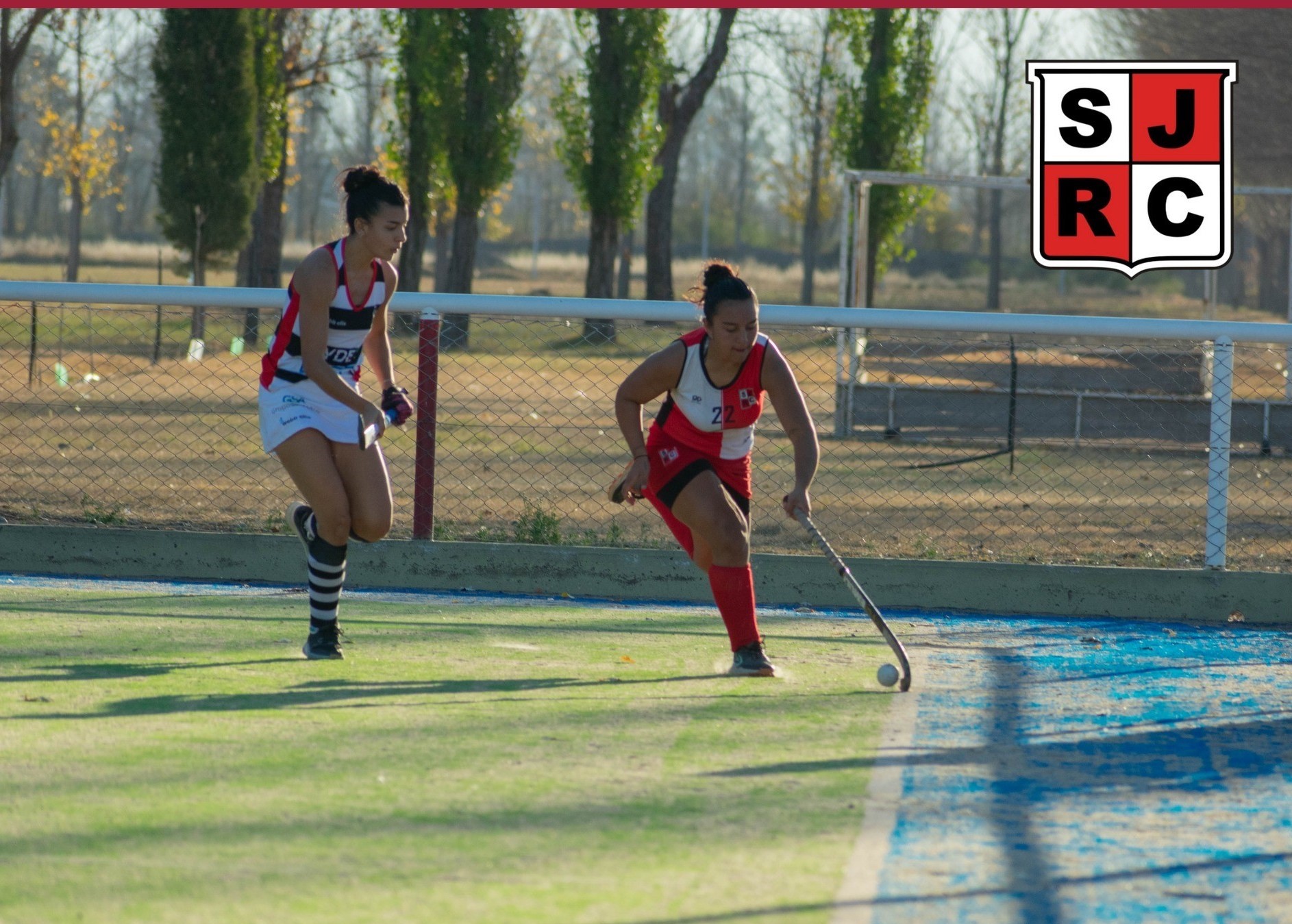 Hockey sobre césped