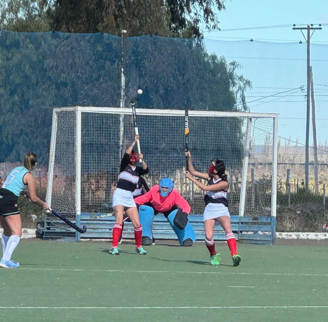 Hockey sobre césped