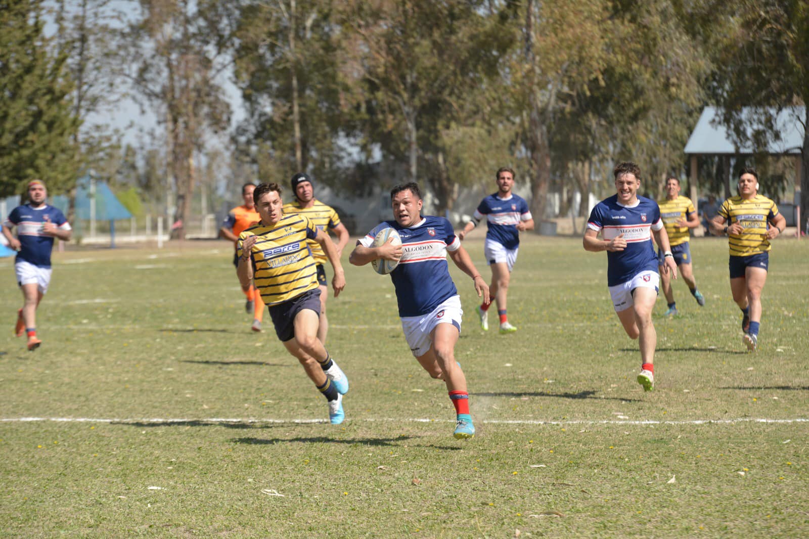 Rugby