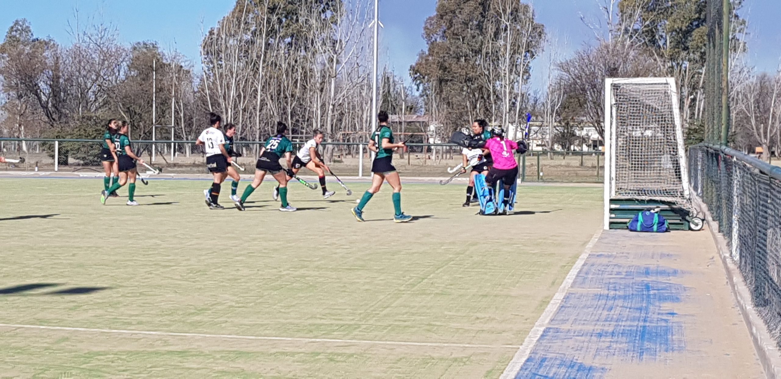 Hockey sobre césped