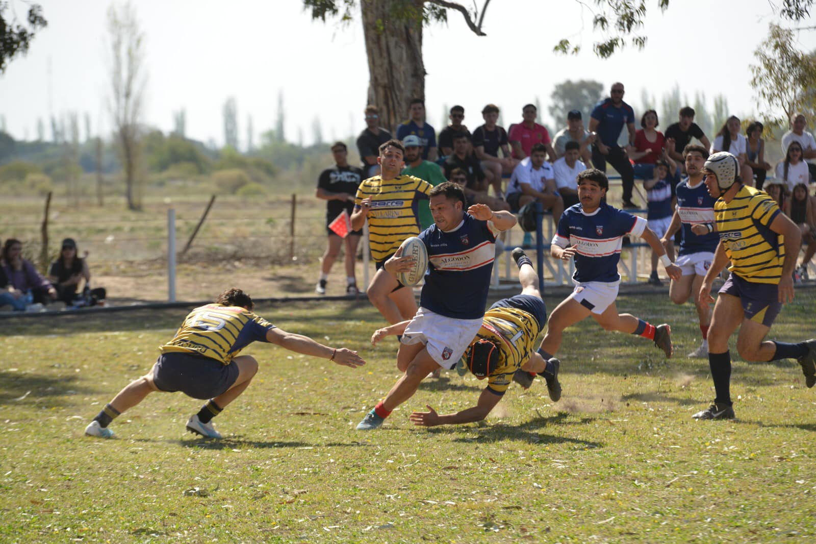 Rugby