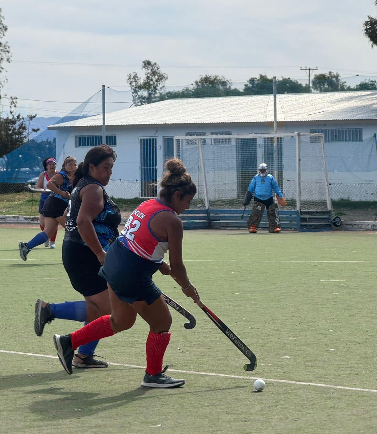 Hockey sobre césped