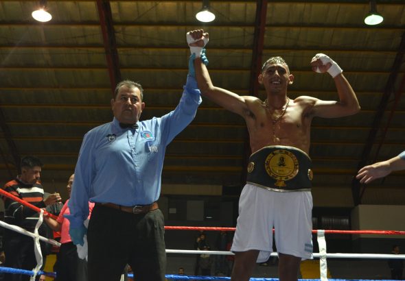 Boxeo