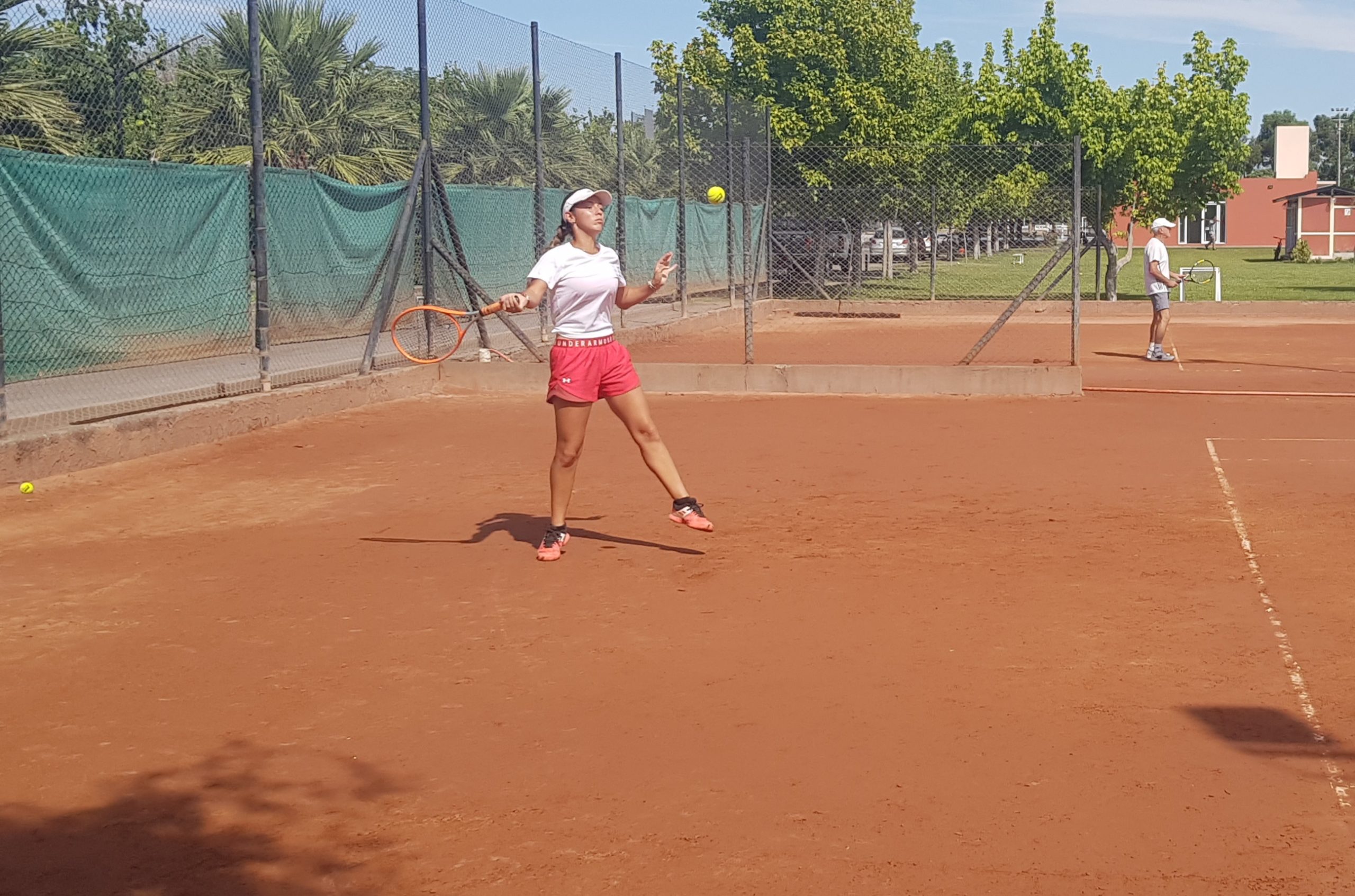 Tenis