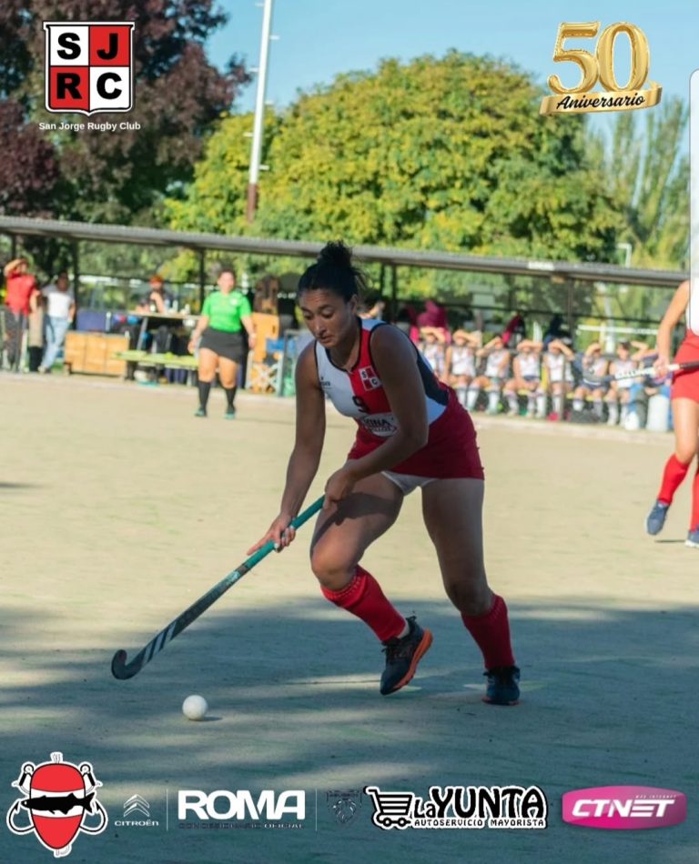 Hockey sobre césped