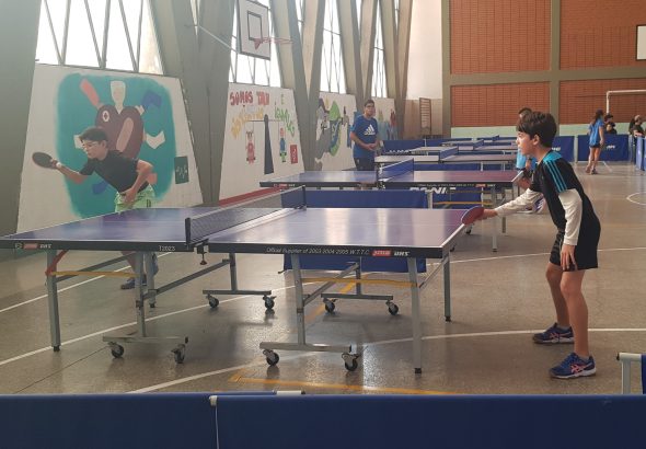 tenis de mesa
