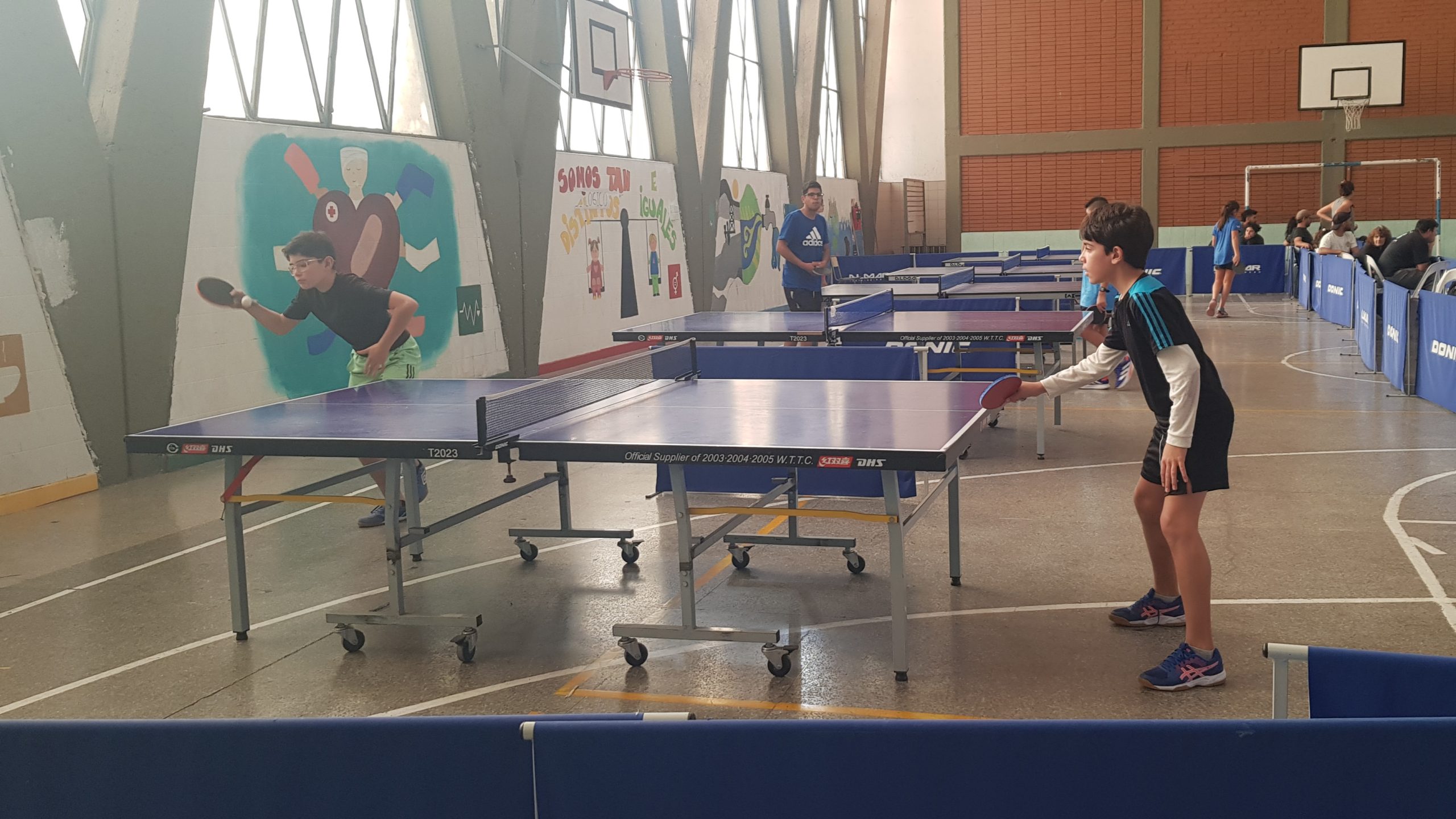 tenis de mesa