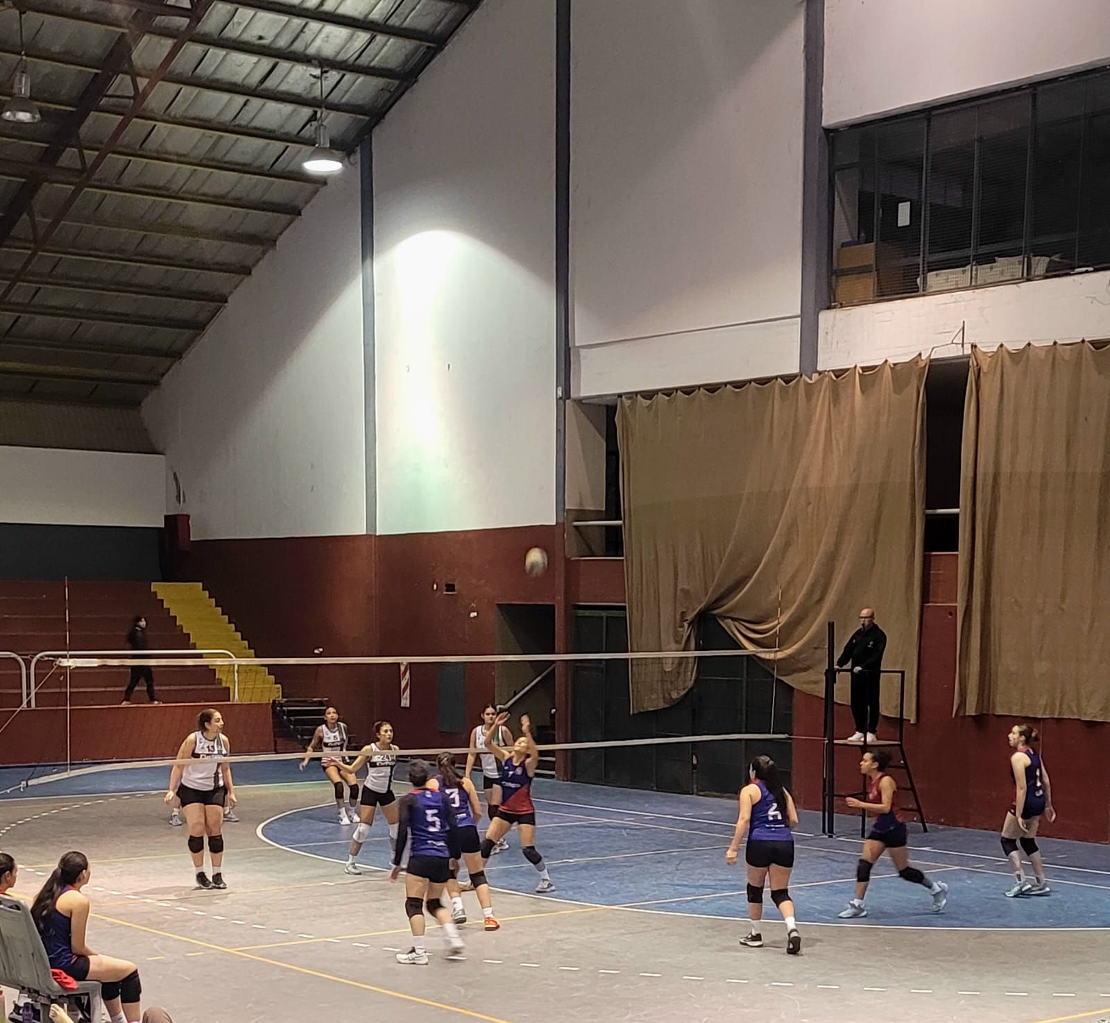 Voley