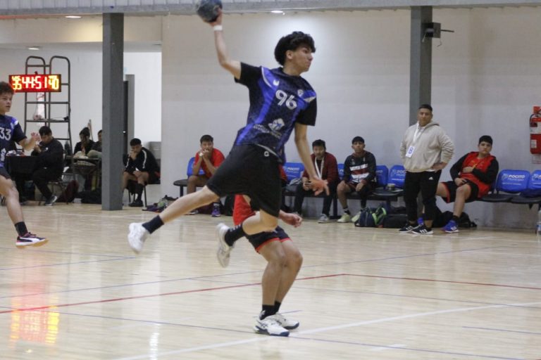 Handball