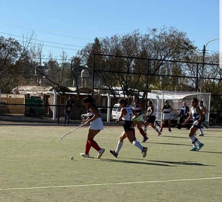 Hockey sobre césped
