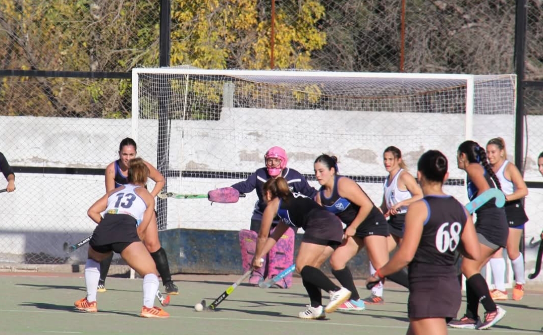 Hockey sobre césped