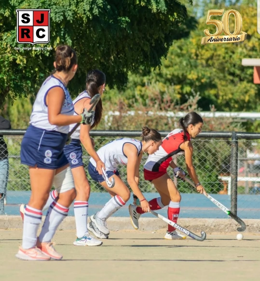 Hockey sobre césped