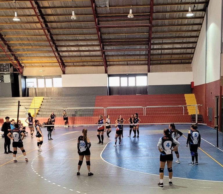 Voley