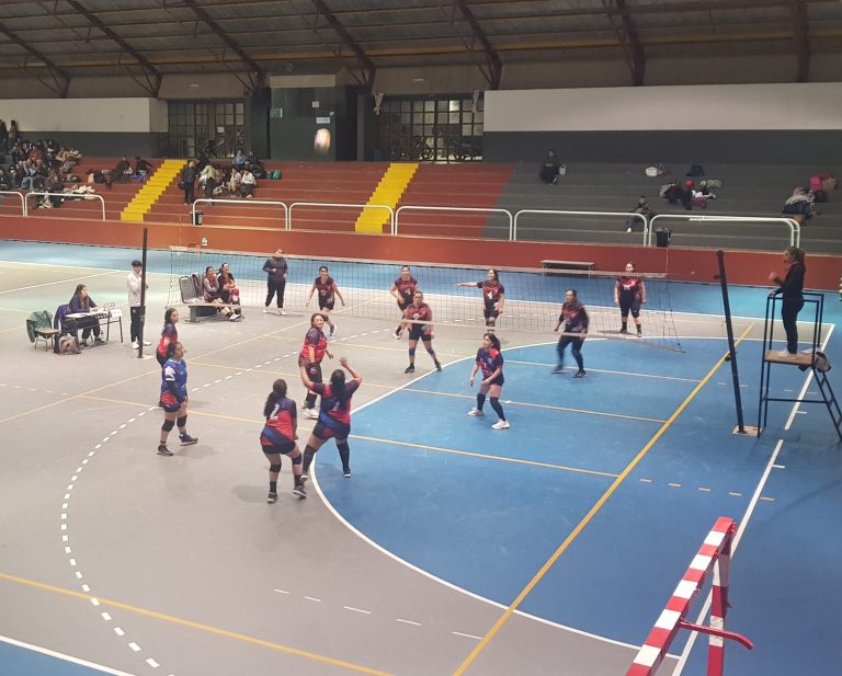 Voley