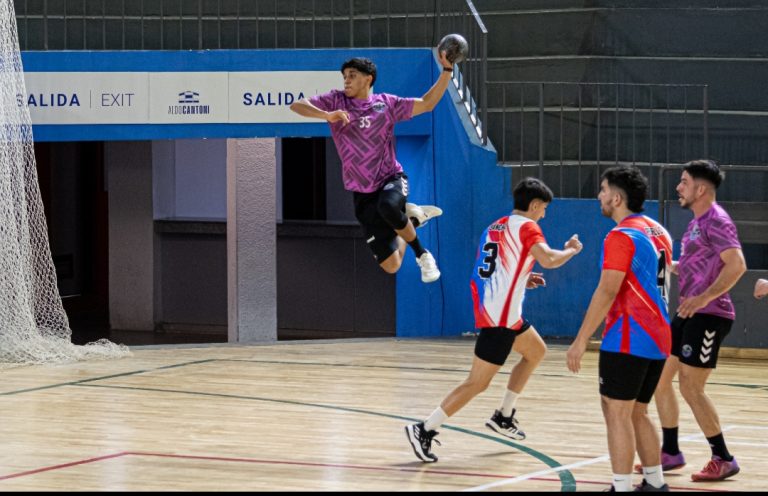 Handball