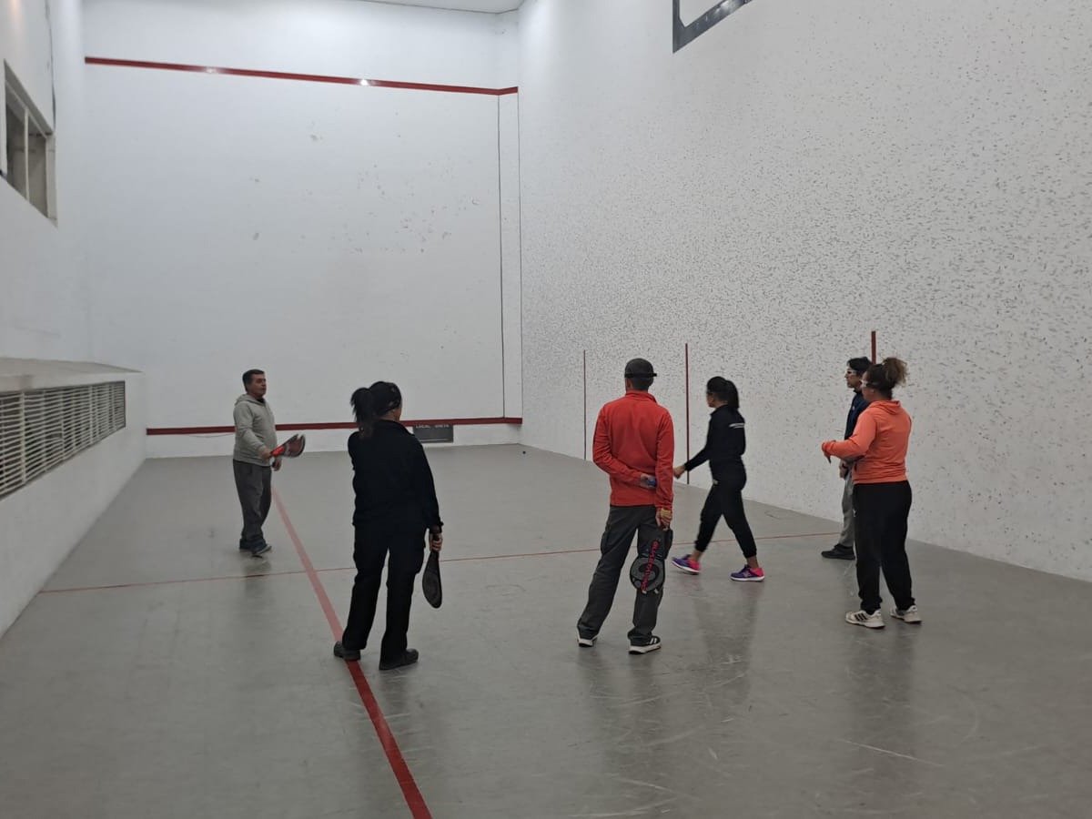 Pelota a paleta