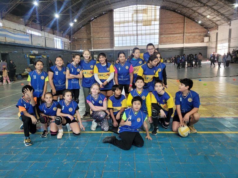 Voley