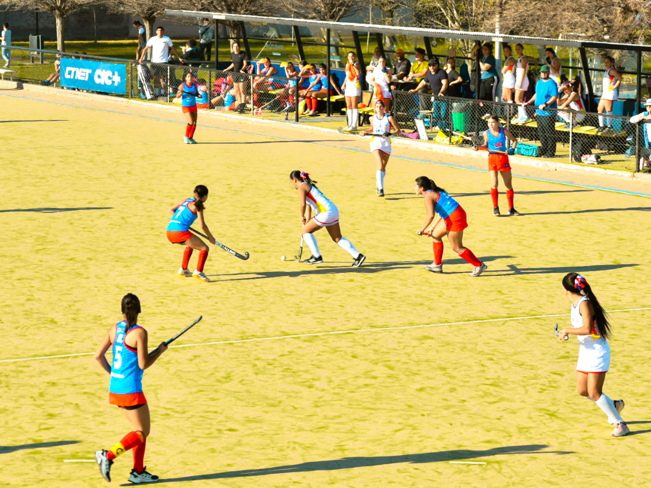 Hockey sobre césped