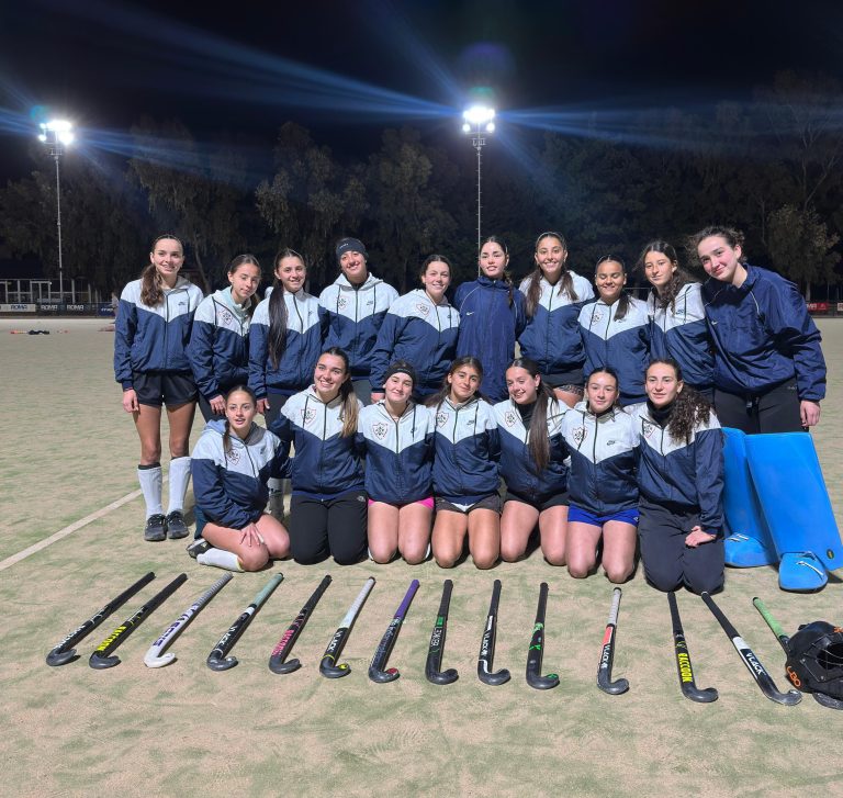 Hockey sobre césped