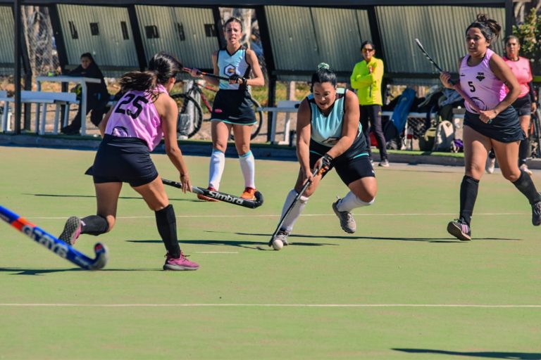Hockey sobre césped