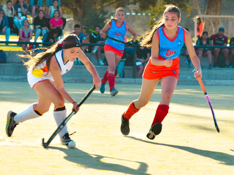 Hockey sobre césped