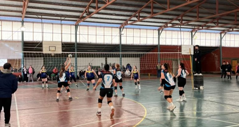 Voley