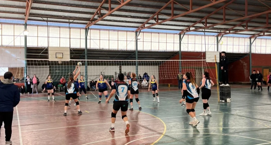 Voley