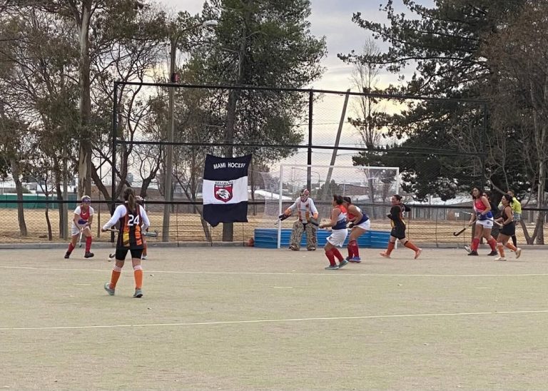 Hockey sobre césped
