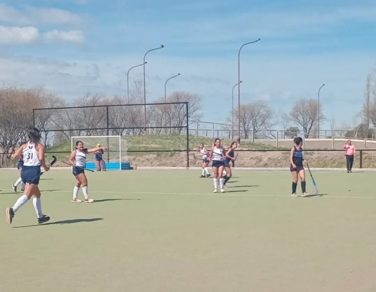Hockey sobre césped