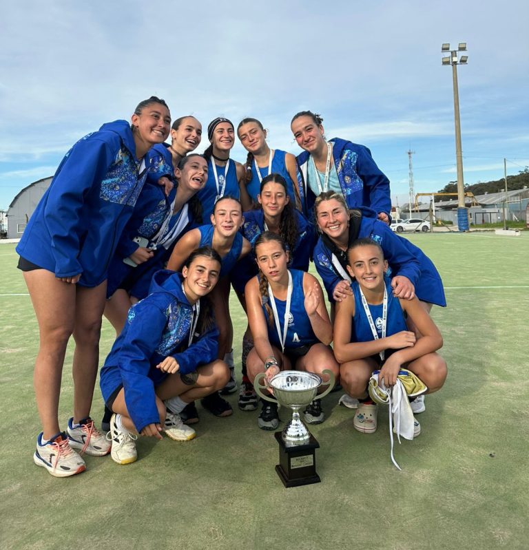 Hockey sobre césped