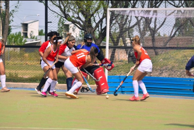 Hockey sobre césped