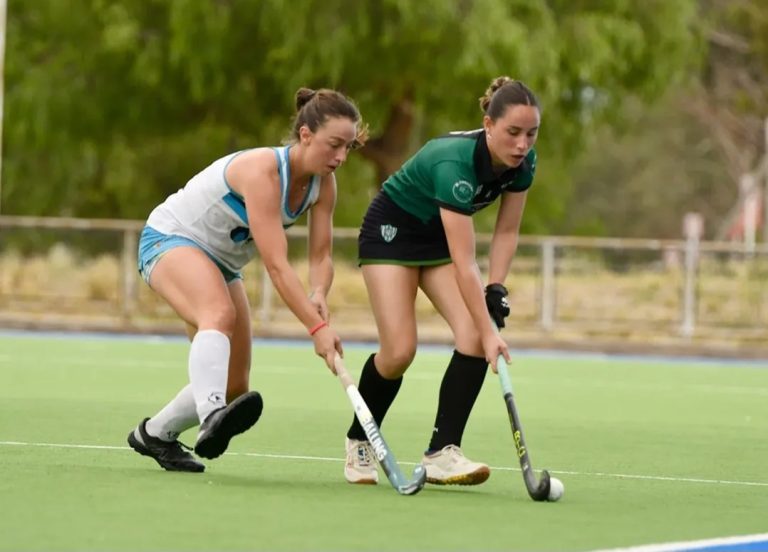 Hockey sobre césped