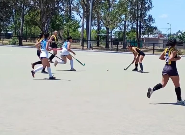 Hockey sobre césped