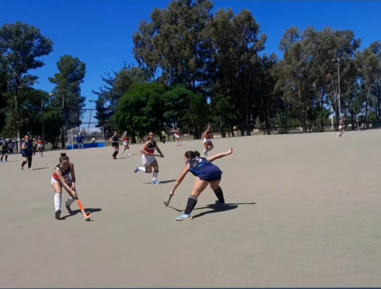 Hockey sobre césped