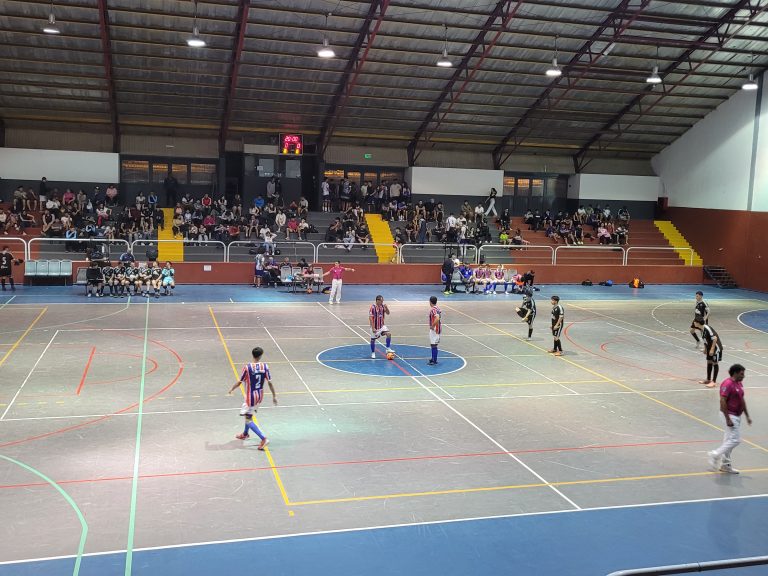 Futsal