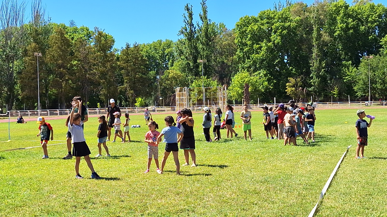 Con gran éxito comenzaron las Colonias de verano