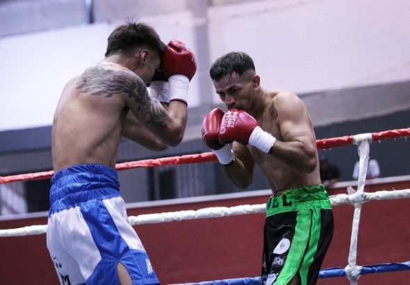 Boxeo