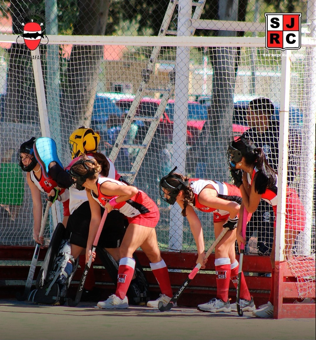 Hockey sobre césped