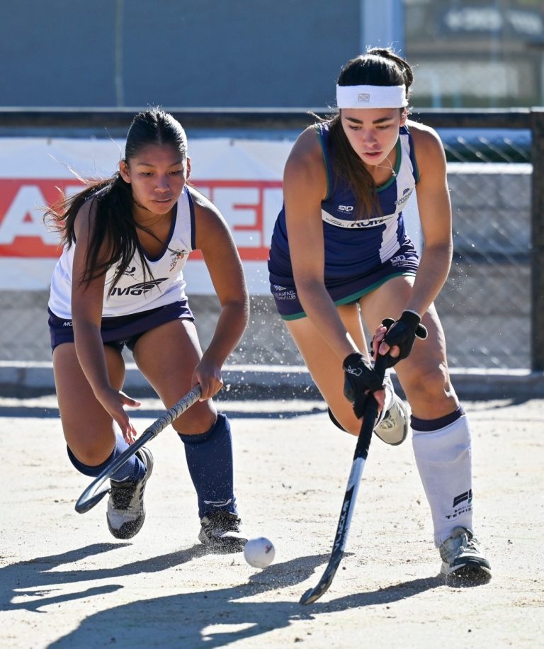 Hockey sobre césped