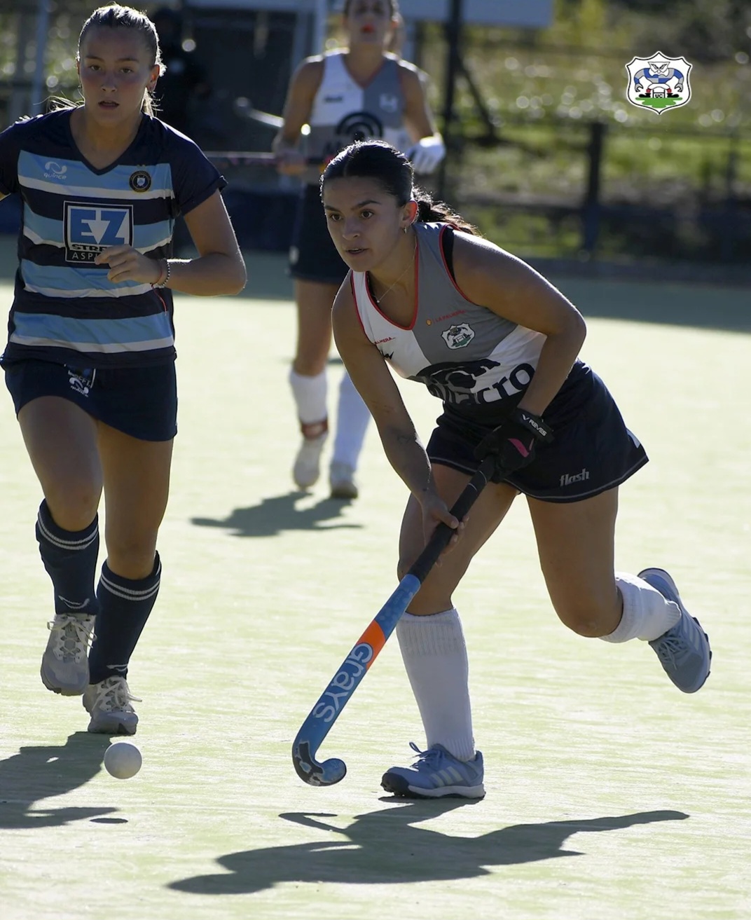 Hockey sobre césped